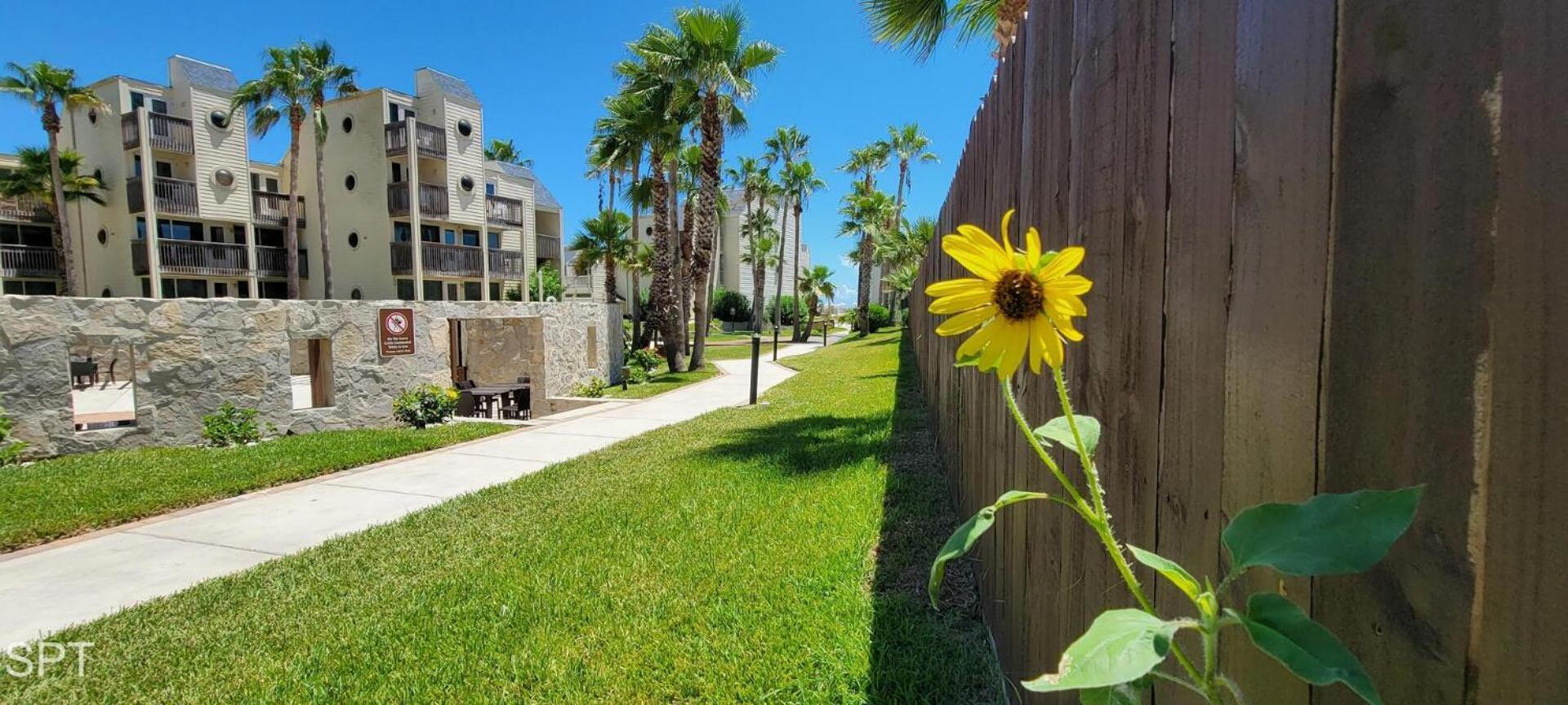 Bahia Mar #426 Villa South Padre Island Luaran gambar